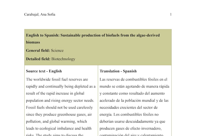 provide professional translation and proofreading